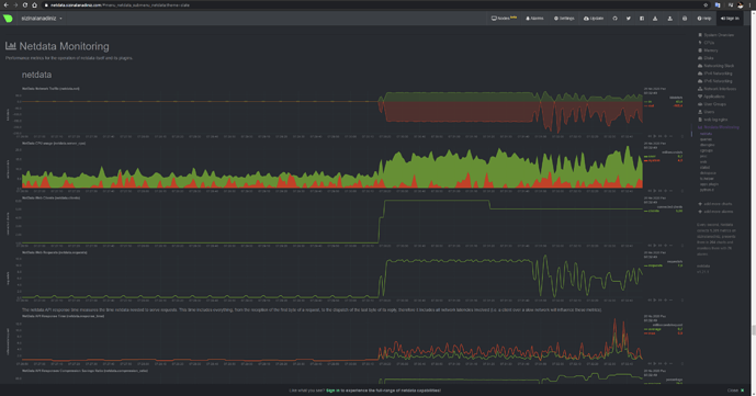 Netdata İle Genel Linux Sunucu Performansı Takip Sistemi Kurulumu - MUHYAL (13)
