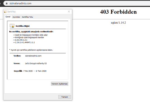 Debian 10 Nginx LEMP Lets Encrypt SSL Sertifikası Kurulumu (1)