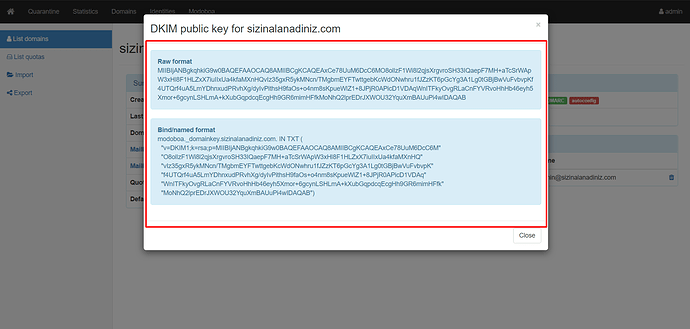 DKIM kaydı (1)
