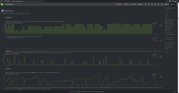 Netdata İle Genel Linux Sunucu Performansı Takip Sistemi Kurulumu - MUHYAL (5)