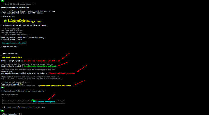 Netdata (3)