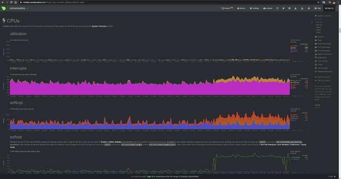 Netdata İle Genel Linux Sunucu Performansı Takip Sistemi Kurulumu - MUHYAL (4)