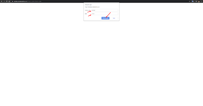 Netdata Parolama Koruması