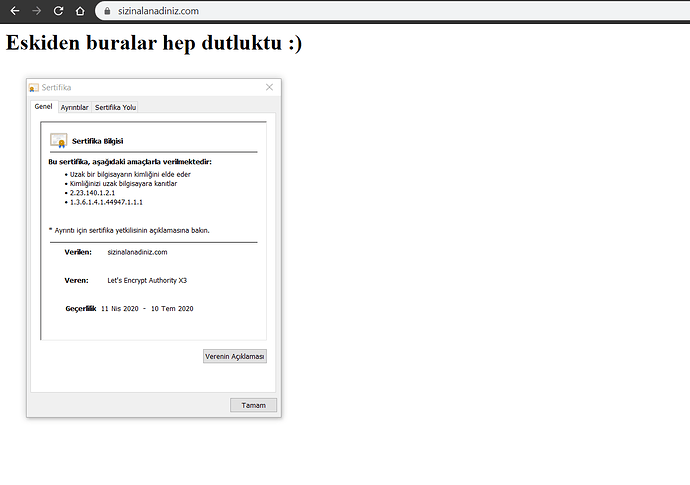 sizinalanadiniz.com Apache Let's Encrypt SSL Sertifikası Doğrulaması