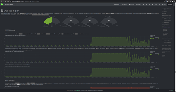 Netdata İle Genel Linux Sunucu Performansı Takip Sistemi Kurulumu - MUHYAL (12)