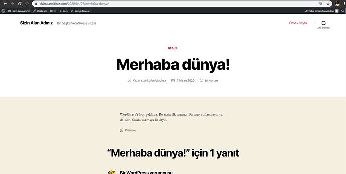 WordPress Ön Kısım Demoları (2)