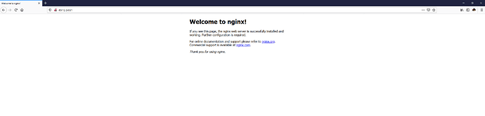 Welcome to Nginx - Ubuntu 20.04