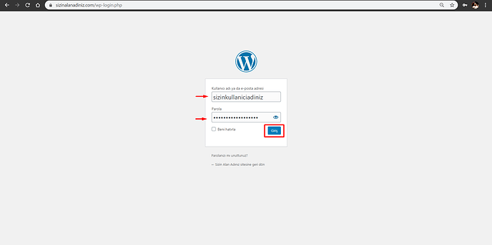 Debian 10 LEMP WordPress Giriş Yap