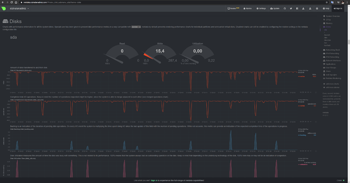 Netdata İle Genel Linux Sunucu Performansı Takip Sistemi Kurulumu - MUHYAL (6)