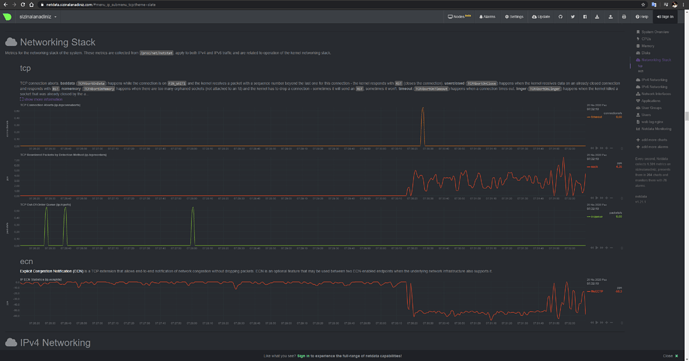Netdata İle Genel Linux Sunucu Performansı Takip Sistemi Kurulumu - MUHYAL (7)