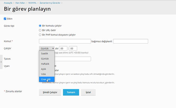 Windows Server 2019 Plesk Sunucuda Her X Dakikada Bir Yürütülecek Görev Nasıl Kurulur