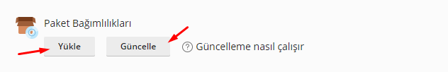 Plesk Obsidian 18.x Üzerinde PHP Composer İle GLPI Kurulumu (13)